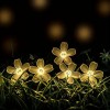 Соларни LED лампички във формат на цветенца